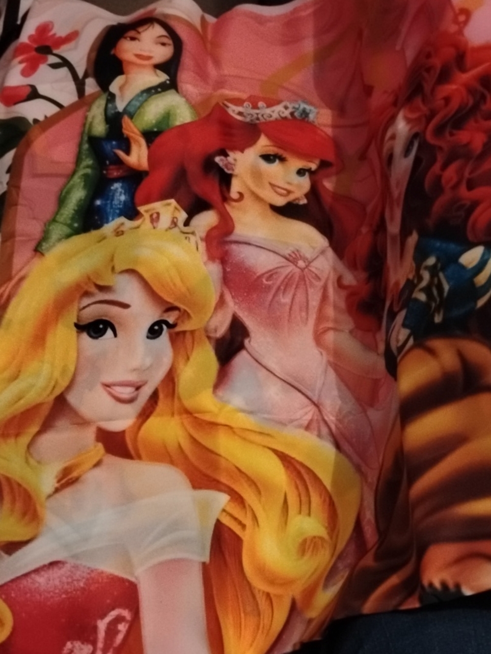 Disney Princess Birthday Party Banner Feat. Belle Merida Sleeping Beauty Mulan